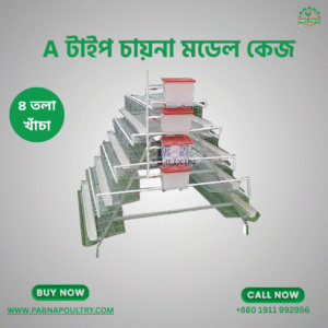 a টাইপ চায়না মডেল কেইজ (৪ তলা)