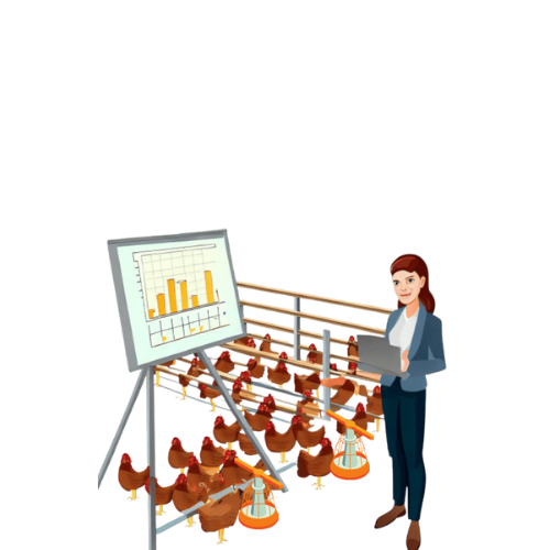 পোল্ট্রি সেবা